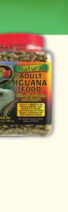 Contains fl avorful Dandelion Greens and other plants that Dragons love! Adult Bearded Dragon Food Item# ZM-76 10 oz. (284 g) Item# ZM-77 20 oz. (567 g) Item# ZM-79* 50 lb. (23 kg) C.