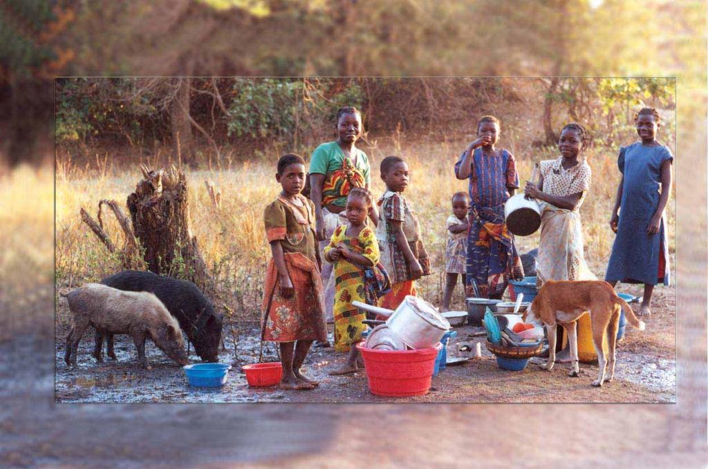 Integrated Control of Neglected Zoonotic Diseases in Africa Applying the One Health Concept