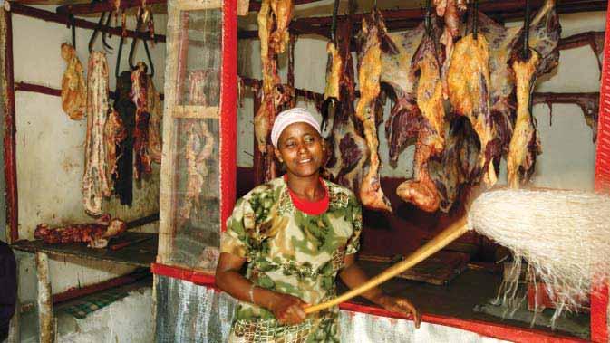 Integrated Control of Neglected Zoonotic Diseases in Africa 9 Prevention and Control Proper meat inspection and control including responsible disposal of infected carcasses and visecera can help