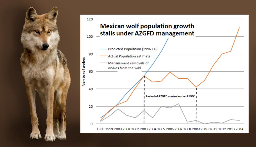 ARIZONA S EFFORTS TO DERAIL WOLF RECOVERY The Arizona Game and Fish Commission and the agency it oversees, the Arizona Game and Fish Department, are charged with protecting all of Arizona s wildlife.
