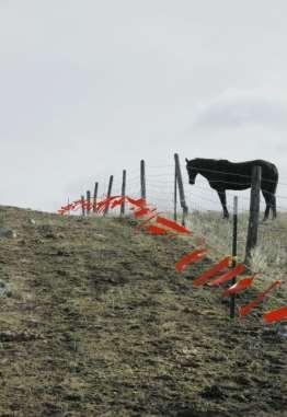 When fencing on slopes, one will need to consider a loss of height if an animal is approaching a pasture from upslope.