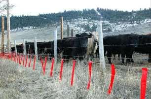Fladry Fladry is a simple, inexpensive yet effective method for deterring wolves from entering a pasture.