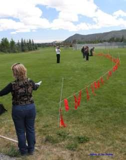 Figure 23. Setting up fladry at a workshop for livestock producers in the USA. Photo courtesy of Wolves of the Rockies.