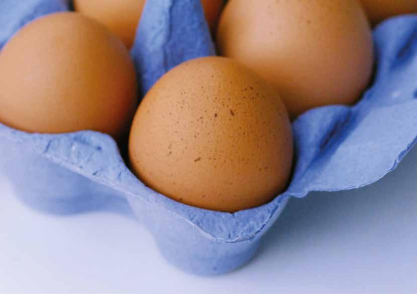 EGGS. ONLY MORE MORE FOR YOU St Ewe Free Range Eggs LLP, Ventonwyn Farm, Tregony, Truro, Cornwall TR2 5SH Tel: 01872 530320 Email: info@stewe.co.