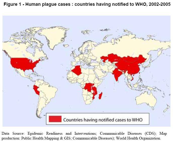 Plague: Epidemiology Globally 1000-3000 cases reported annually Most