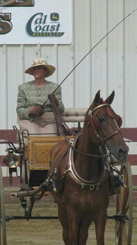 Patricia Demers Board Member, Carriage Assoc. of America Amy McLean Professor of Animal Science, Dept.