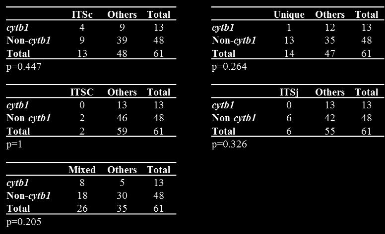 Table S5. C. felis cytb1 is not associated with ITS genotypes.