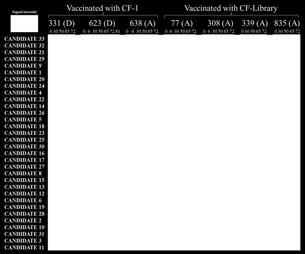Of the four cats vaccinated with CF-Library, one cat showed minimal serological response to Figure 4. Serological response of individual vaccinated cats to candidates throughout study.
