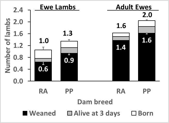 Lambs Born per Ewe Exposed Pounds of Lambs Weaned per