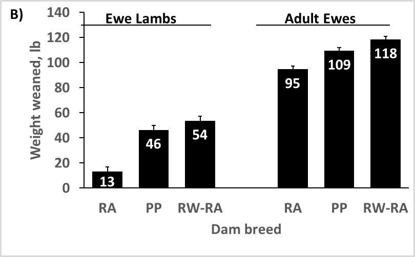 Lambs Born per Ewe Exposed