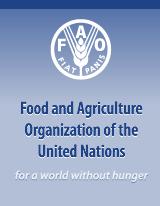 F A O FAO's mandate Achieving food security for all is at the heart of FAO's efforts - to make sure people have regular access to enough high-quality food to lead active, healthy lives.