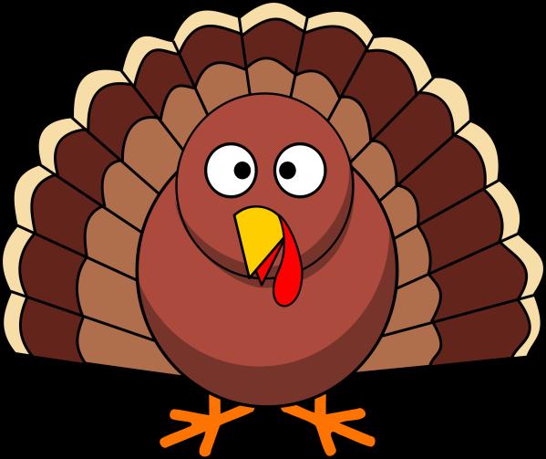 Fill in the Blanks 1. lobbied to make the turkey the national bird. 2. Wild turkeys are _ than domesticated turkeys, and they have legs. 3.