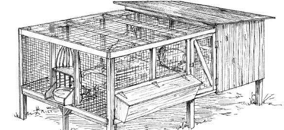 for accumulation of droppings and easy access for cleaning. The porches are fenced in on the top and sides. Coarse mesh wire is used for the top where snow loading may be a problem.