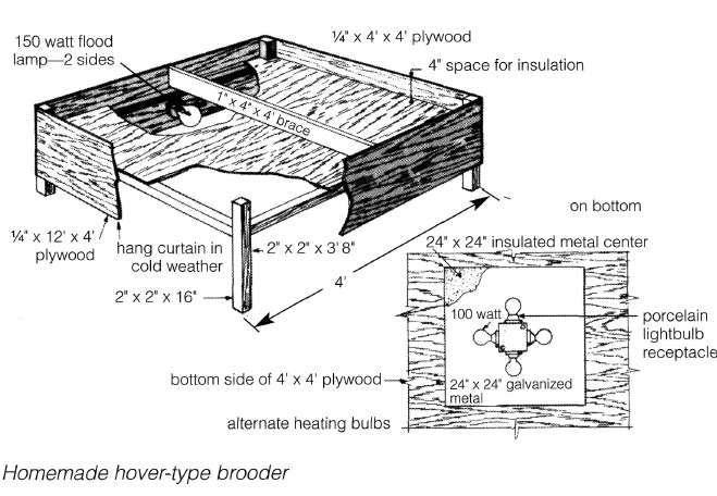 Brooding Equipment Several types of brooders are suitable for poults. The heat source may be gas or electric.