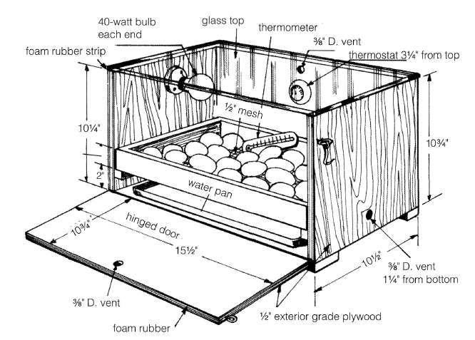 You can make an incubator at home. However, several poultry-supply companies provide good incubators for the small-flock producer. Plan for a simple homemade incubator (D.