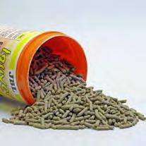 Pellets with a diameter of 6 mm which all tortoises like to eat directly or after they have been soaked.
