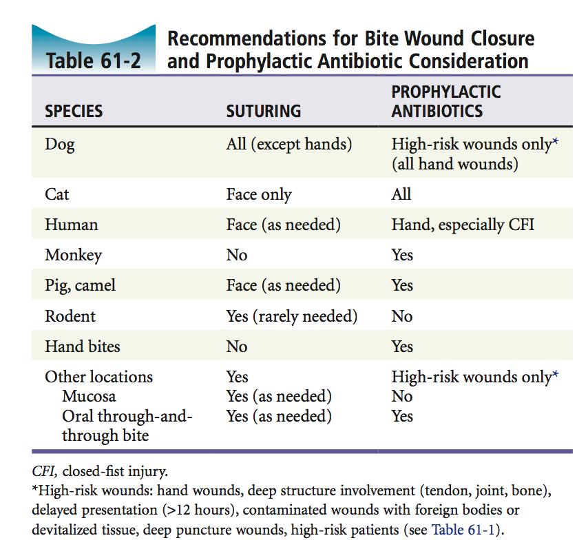 8) Describe the recommendations for bite wound closure and antibiotics in bite cases Wisecracks: 1) What about seal bites? UptoDate: Nada.
