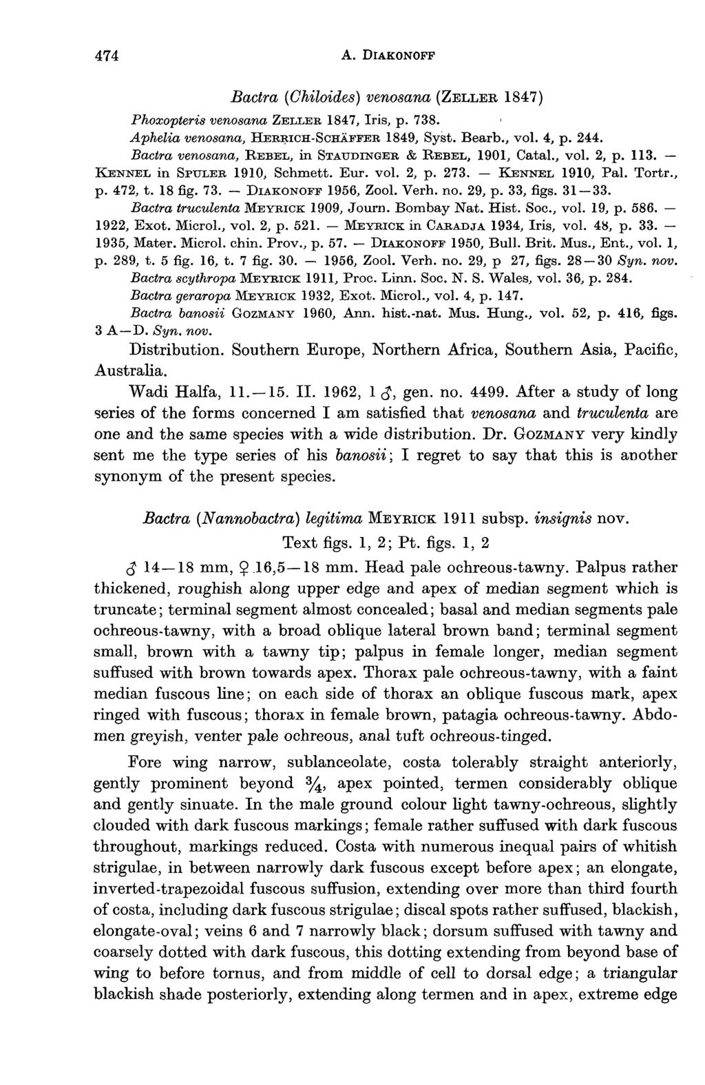 474 Α. DIAKONOFF Bactra (Chiloides) venosana (ZELLER, 1847) Phoxopteris venosana ZELLER 1847, Iris, p. 738. Aphelia venosana, HERRICH-SCHÄFFER 1849, Syst. Bearb., vol. 4, p. 244.