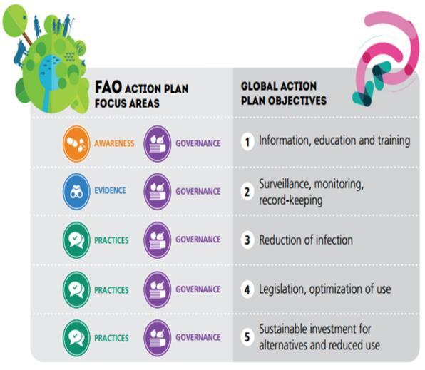 FAO focus areas