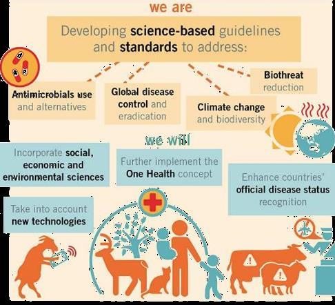 OIE 6 th Strategic Plan(2016-2020) - Strategic Objective 1 Securing animal health & welfare by appropriate risk management Holistic & interdisciplinary approach Climate change / eco-systems / impacts