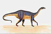 Staurikosaurus - Argentina Herrerasaurus -