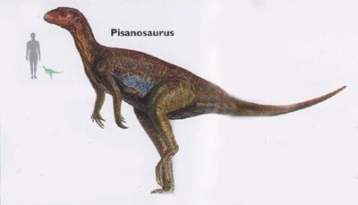 Ornithischian Early Dinosaurs Prosauropod