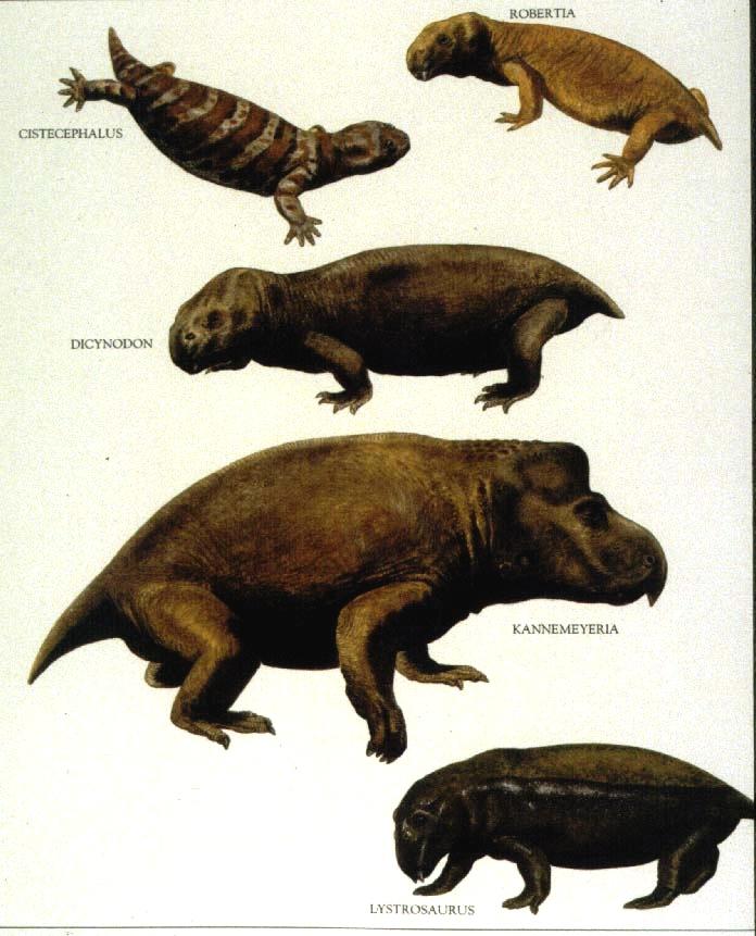 carnivorous Dicynodonts - mostly