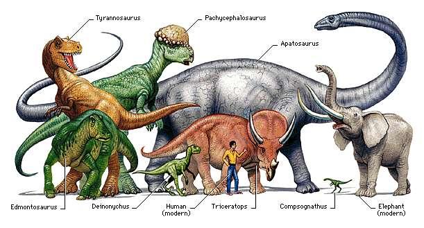 Dinosaur Size