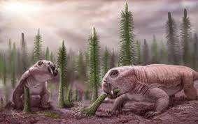 Lystrosaurus - by far the most common terrestrial vertebrate of the Early Triassic Lystrosaurus: had only two teeth, a pair of tusk-like canines and is