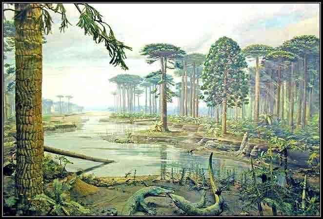 Triassic plants were mainly seed plants - conifers and cycads.