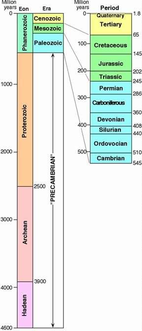 Geological Eras Paleozoic Era. 550 to 250 million years ago. Fossils appear, complex multicellular organisms, invasion of the land by plants and animals. Mesozoic Era.