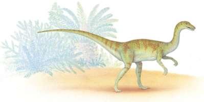 Basal Archosaurs Basal archosaurs (formerly called thecodonts) were small, agile reptiles with long tails and short forelimbs.