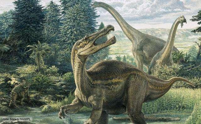 Saurischia - Lizard-hipped dinosaurs The earliest known dinosaurs, lizard-hipped dinosaurs first appeared in the mid Triassic.