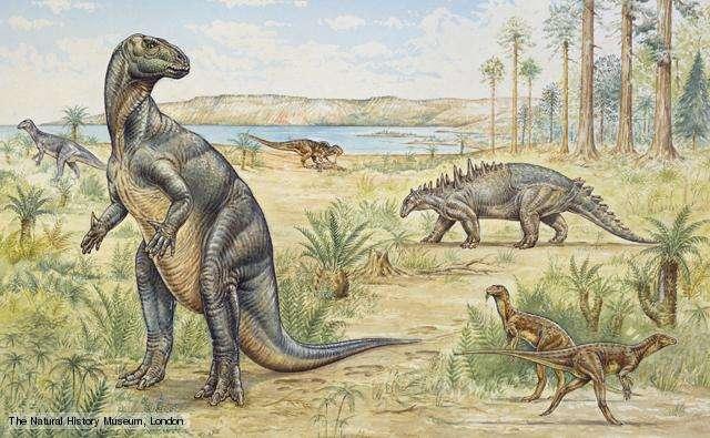 Ornithischia - Bird-hipped dinosaurs Derive their name from the shape of their pelvis, which resembles that of modern birds, whose pubis points to the rear of
