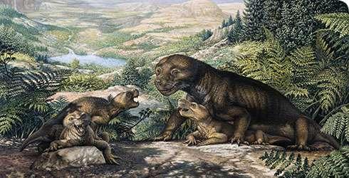 Thrinaxodon Mammal-like reptiles such as Thrinaxodon, which lived about 251 million years ago, thrived in
