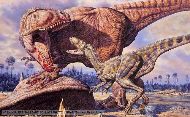 Theropod dinosaurs Top predators in the Jurassic and Cretaceous periods.