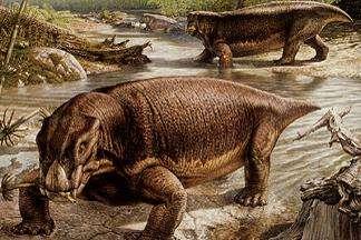 of the Permian and early Triassic before losing