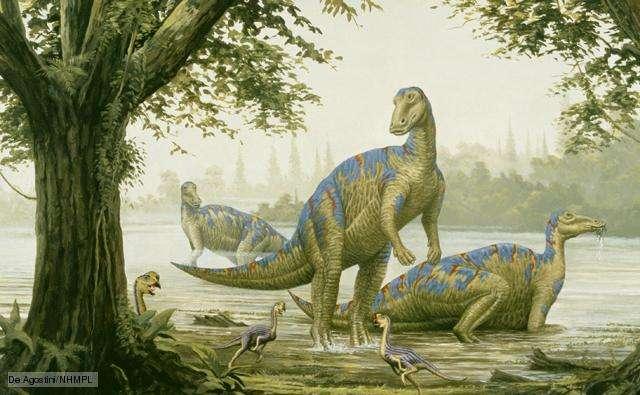 Duck-billed dinosaurs Common herbivores from the upper Cretaceous period.
