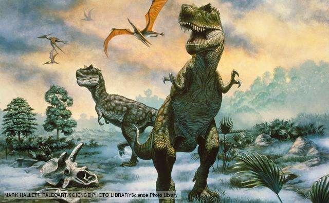 Tyrannosaurs Includes the famous Tyrannosaurus rex as well as other large carnivores such as Albertosaurus