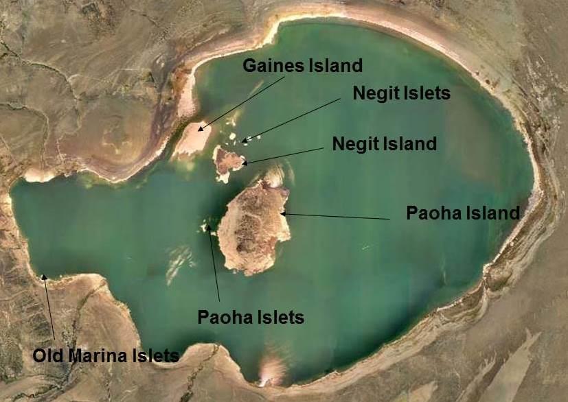 P a g e 6 tremendous growth of the invasive weed Bassia which overtook most of the nesting areas on the Negit Islets in 2017. Study Area Mono Lake, California, USA, is located at 38.0 N 119.