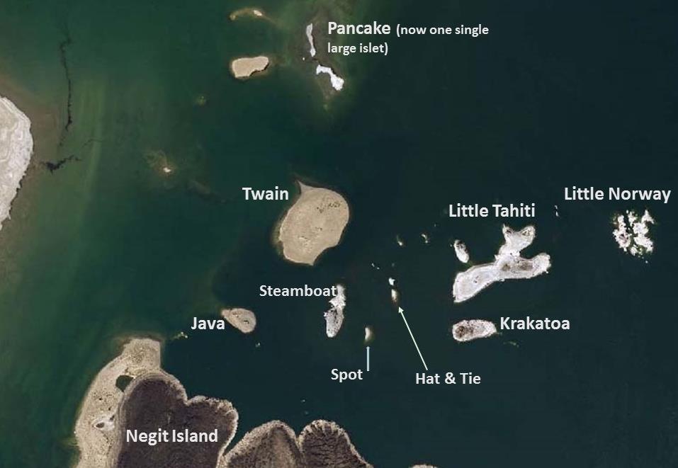 P a g e 7 Gulls nest on a series of islands located within an approximately 14-km² area in the north-central portion of the lake.