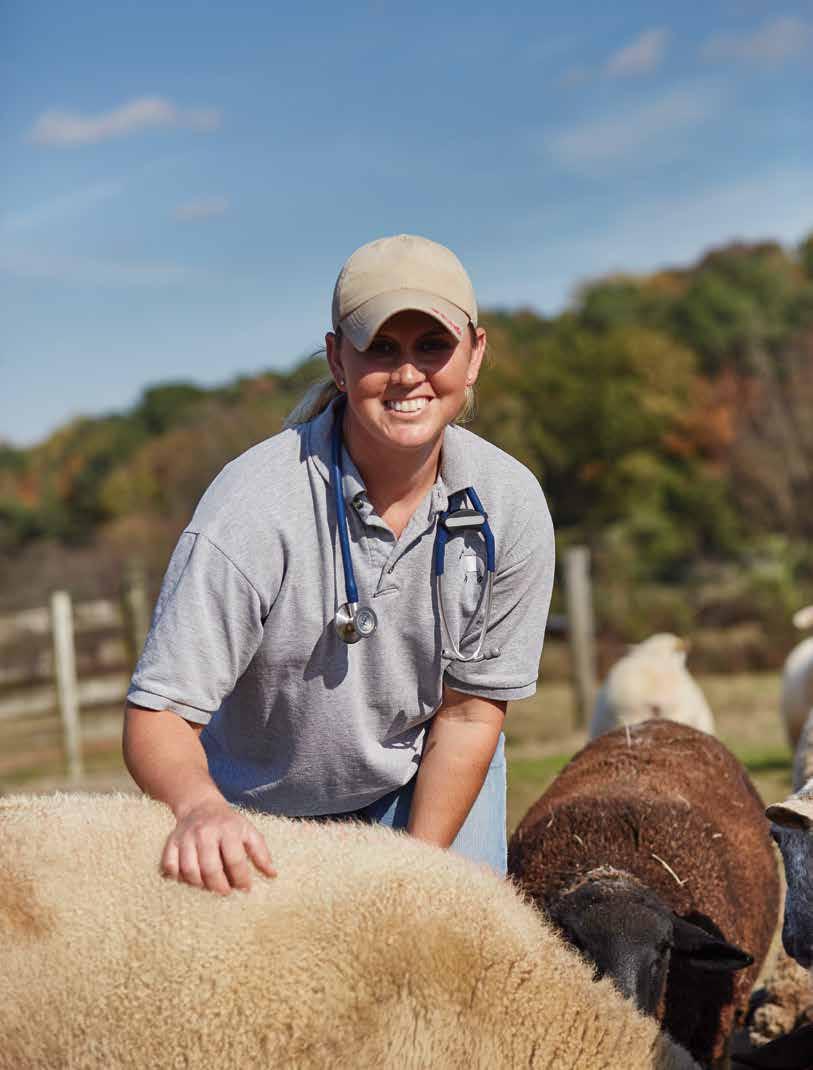 member benefits that SUPPORT YOUR PASSION As a veterinarian, you are part of a passionate group of professionals, all striving to improve animal