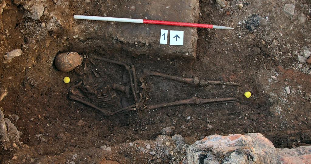 The grave is too short for the person in it. The head is propped up. Skeleton 1 The grave appears to be messily dug. The skeleton is twisted in the grave.