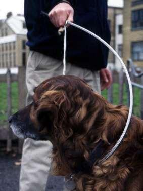 Snares Useful for catching free running dogs.