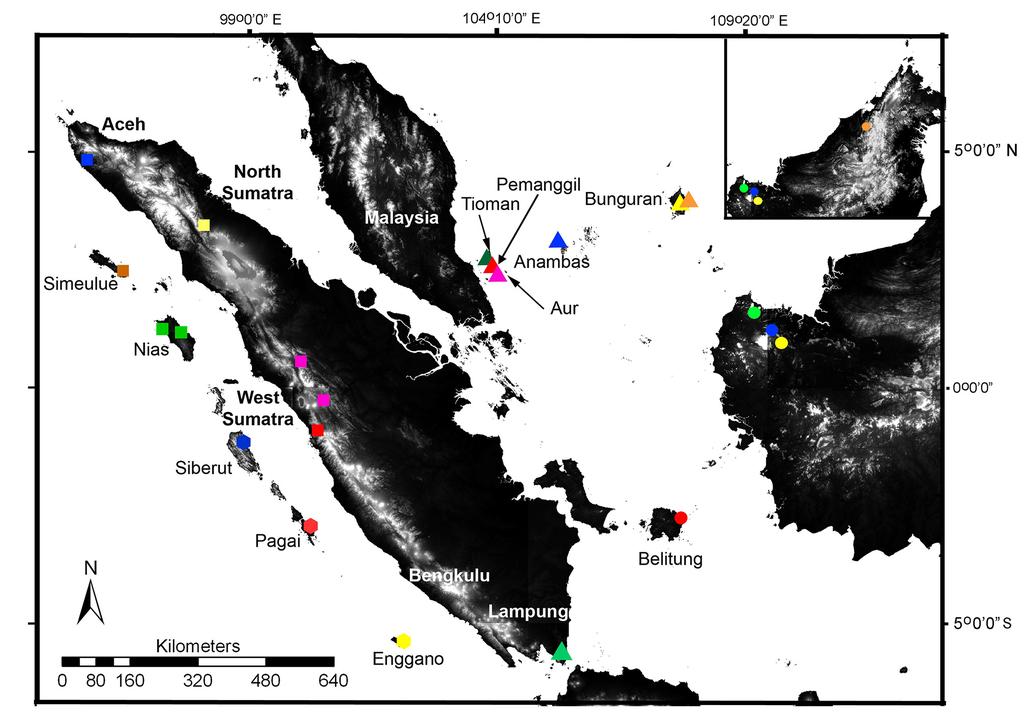 FIGURE 1. Distribution of Cnemaspis on Sumatra, Peninsular Malaysia and part of Borneo based on the type localities. Blue square = C. aceh, yellow square = C. tapanuli, pink squares = C.