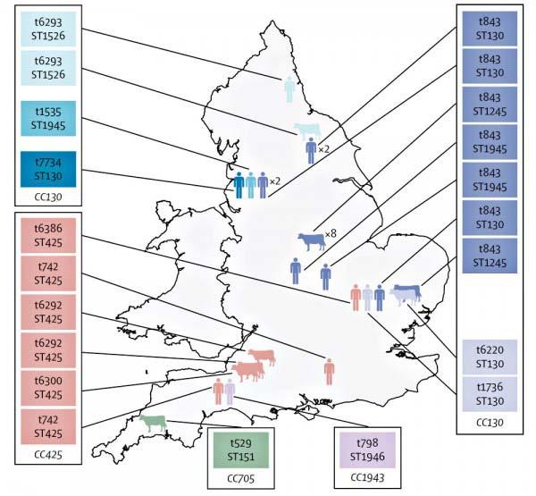 New meca LGA251 gene distribution in the UKhuman and animal isolates and their spa and CC types 19 DTU Food, Technical University of Denmark García-Álvarez L, Holden MT, Lindsay H, Webb CR, Brown DF,