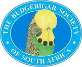 The Budgerigar Society of South Africa Founded 1936 President: Pat de Beer 021 762 1921 Chairman: Deon Davie 082 3777686 011 760 6095 Vice Chairman: Casper Maree casmart@telkomsa.