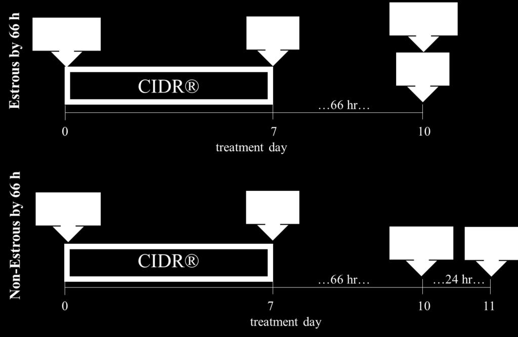 Figure 1.7. Treatment schedule for the 14-d CIDR-PG protocol with STAI [3, 4].