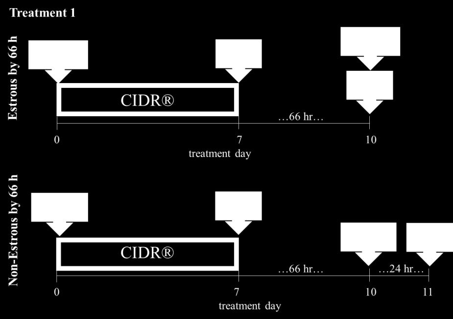 Figure 2.2. Treatment diagrams for Experiment 2; STAI in cows following the 7-d CO- Synch + CIDR protocol.