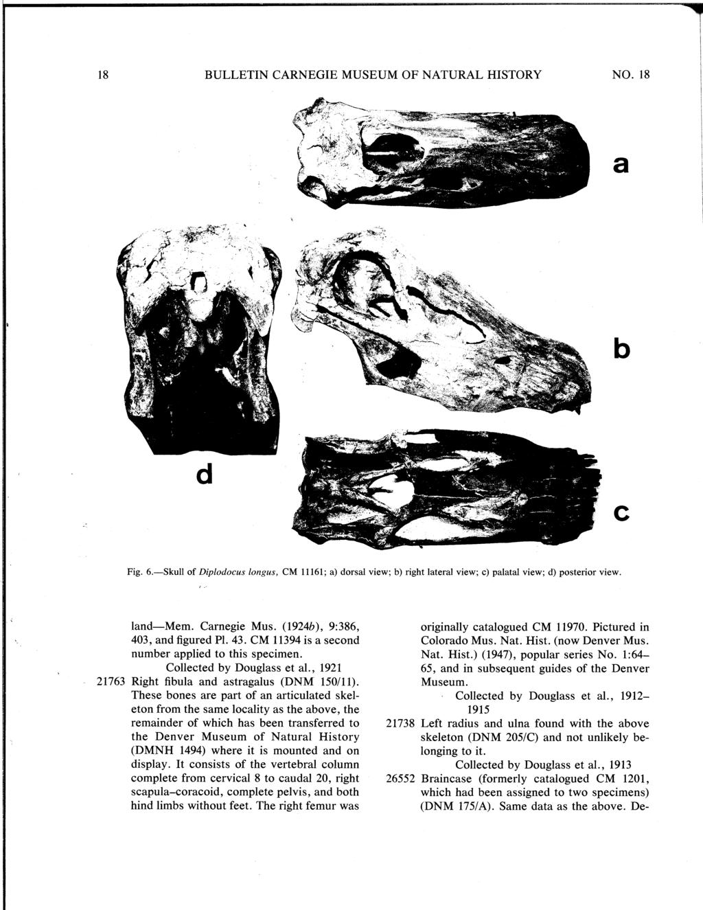 7 18 NO. 18 Fig. 6. Skull of Diplodocus longus, CM 11161; a) dorsal view; b) right lateral view; c) palatal view; d) posterior view. land Mem. Carnegie Mus. (19246), 9:386, 403, and figured PI. 43.